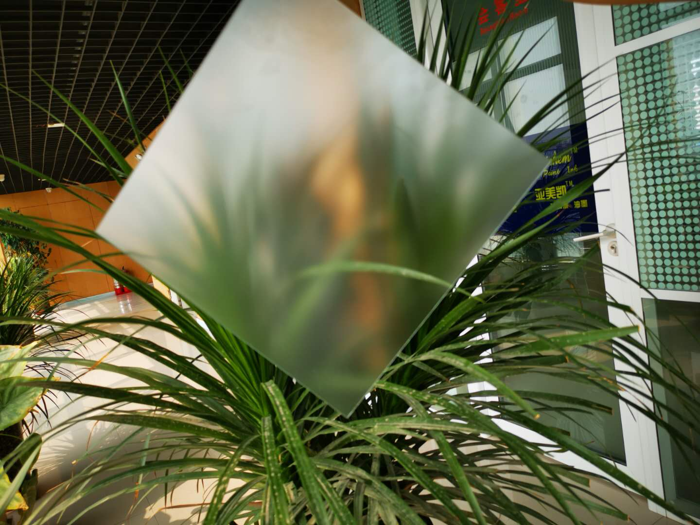 肌肤砂球友会·体育_球友会online(中国)